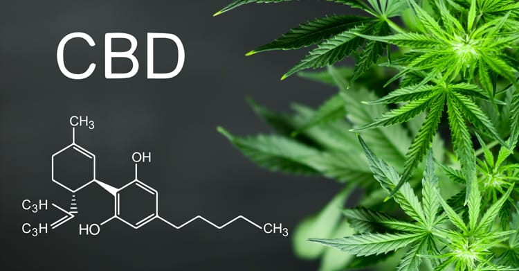 CBD Science